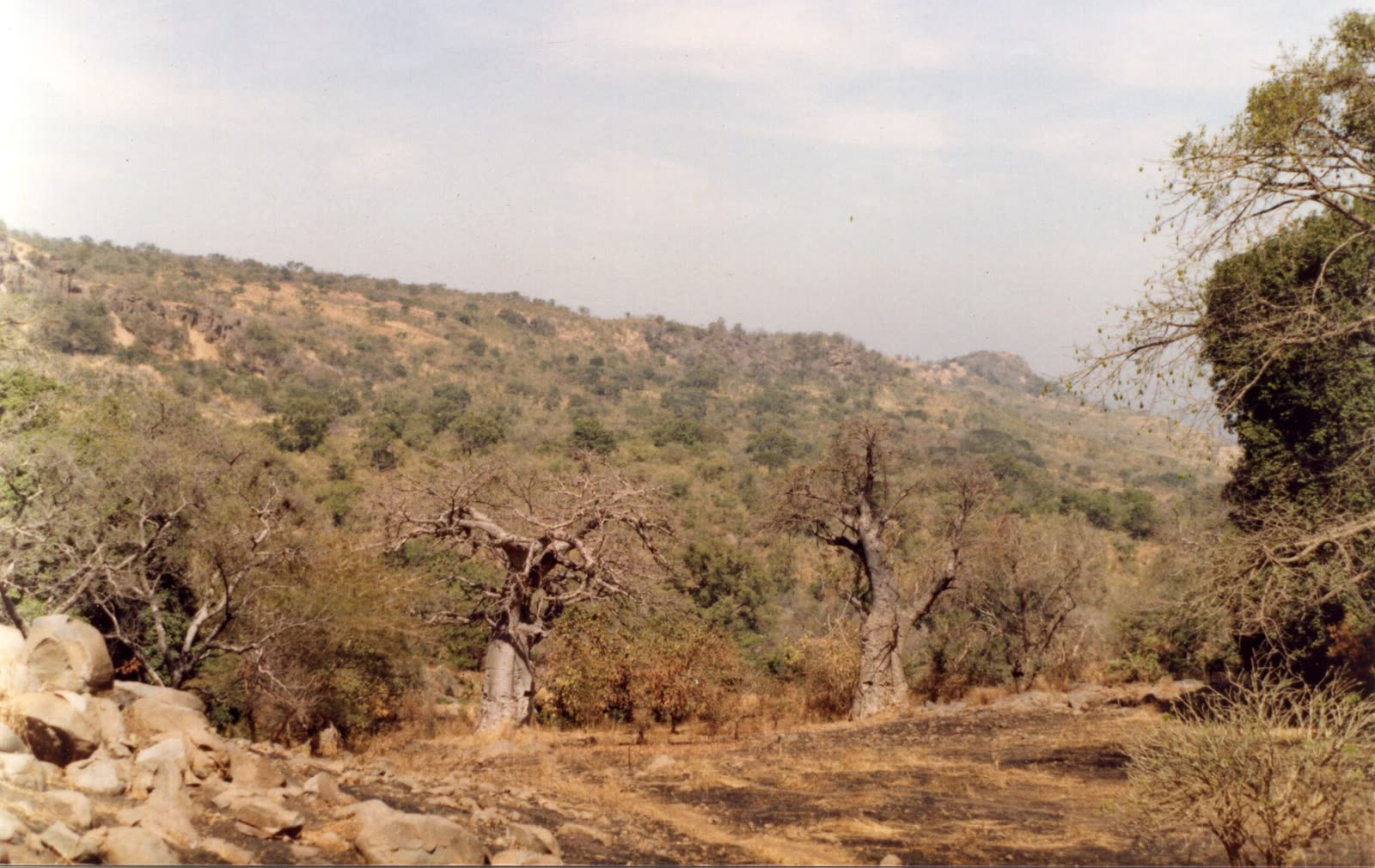Pays Bassari, paysages culturels